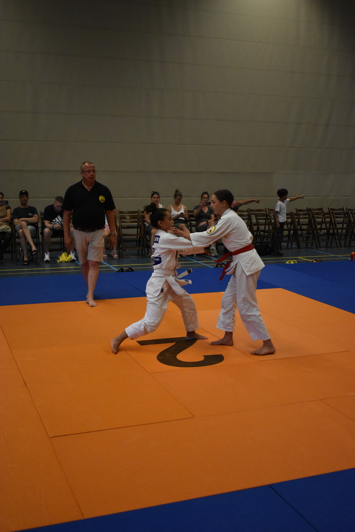 dsc-0571